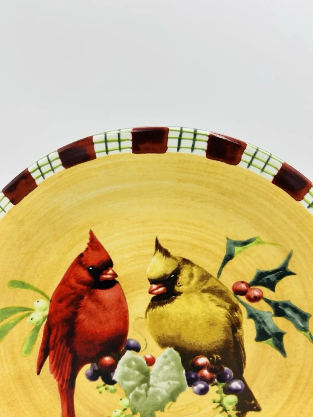 Lenox WINTER GREETINGS Everyday Red Bird Design 8.5